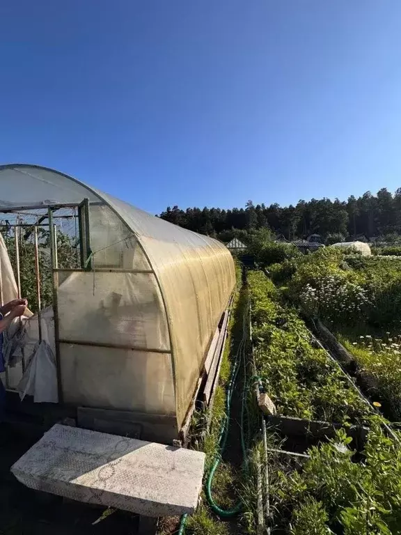 Участок в Свердловская область, Полевской ПО Коллективный сад ПКЗ №1 ... - Фото 1