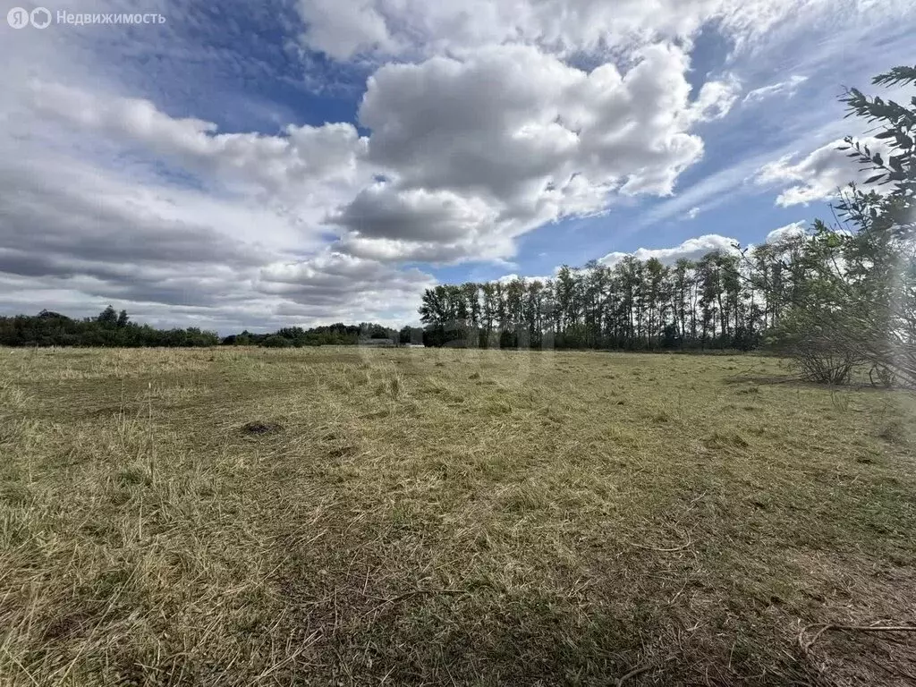 Участок в село Рождественская Хава, улица Карла Маркса (10 м) - Фото 2