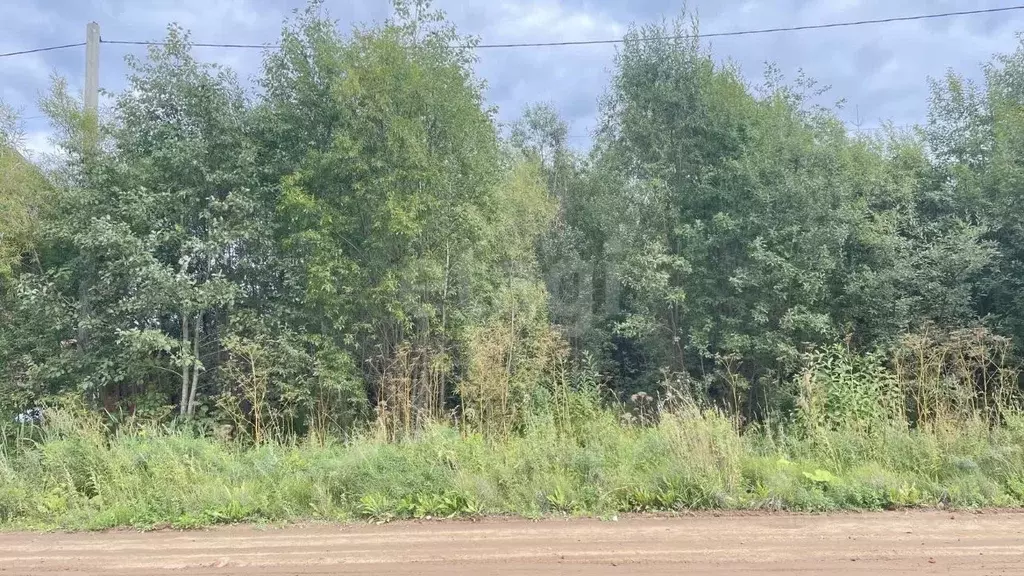 Участок в Архангельская область, Котлас ул. Таежная, 31 (10.0 сот.) - Фото 1