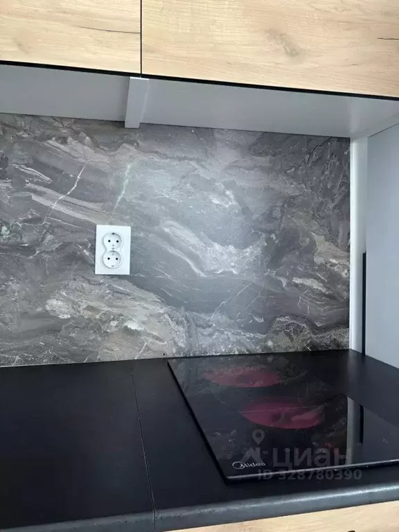 Студия Свердловская область, Екатеринбург ул. Академика Ландау, 39 ... - Фото 2