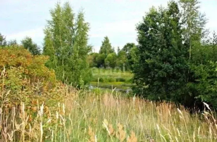 Участок в Псковская область, Печорский муниципальный округ, д. Моложва ... - Фото 1