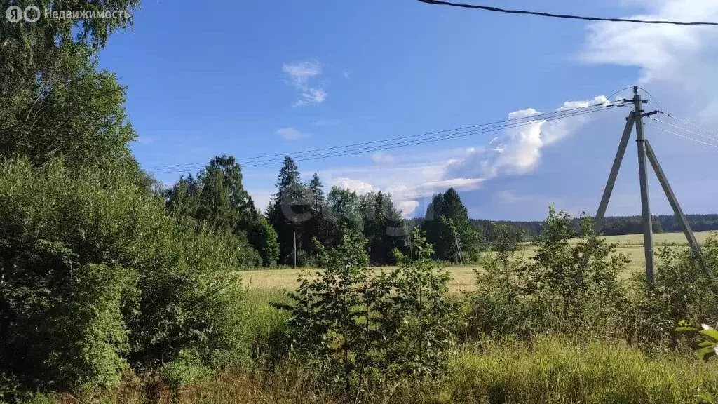 Участок в Плодовское сельское поселение, посёлок Цветково, посёлок ... - Фото 0