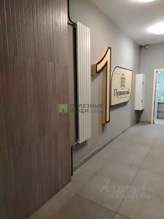 Студия Курганская область, Курган ул. Пушкина, 9 (32.0 м) - Фото 1