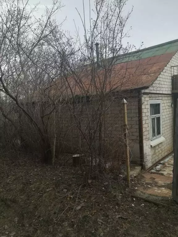 Дом в Белгородская область, Яковлевский муниципальный округ, ... - Фото 0