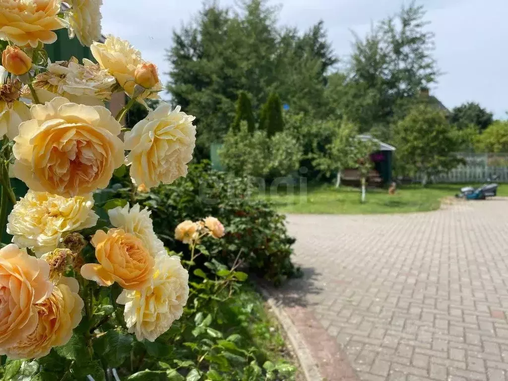 Дом в Калининградская область, Светловский городской округ, пос. ... - Фото 2