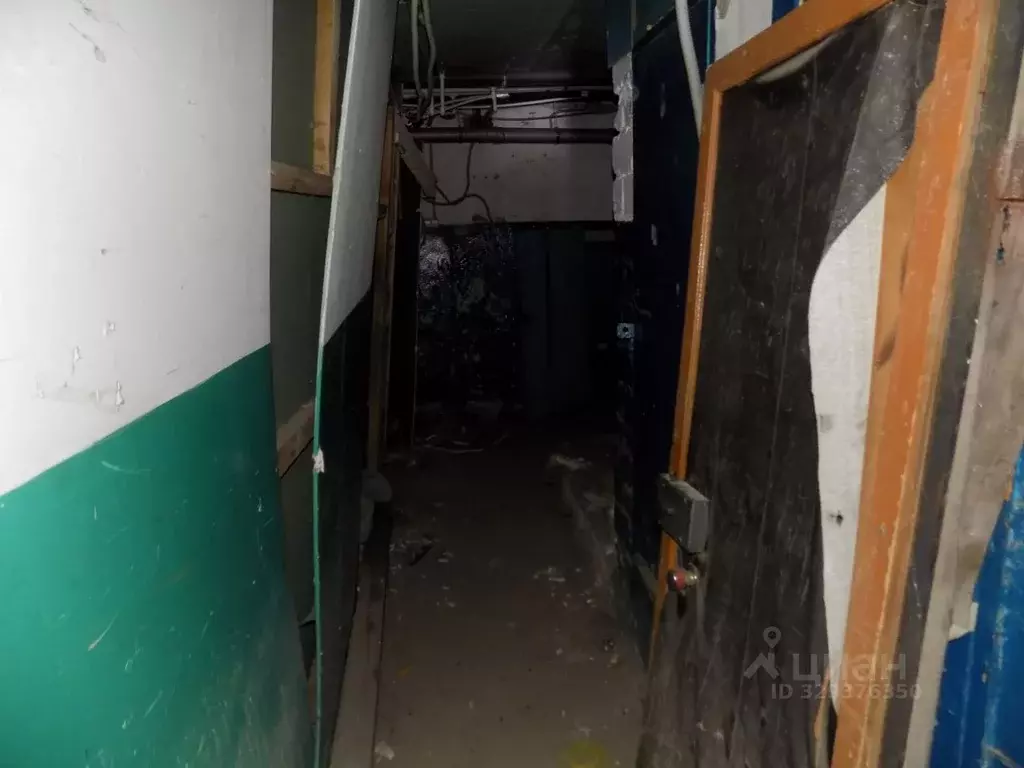 Помещение свободного назначения в Алтайский край, Барнаул ул. Антона ... - Фото 2