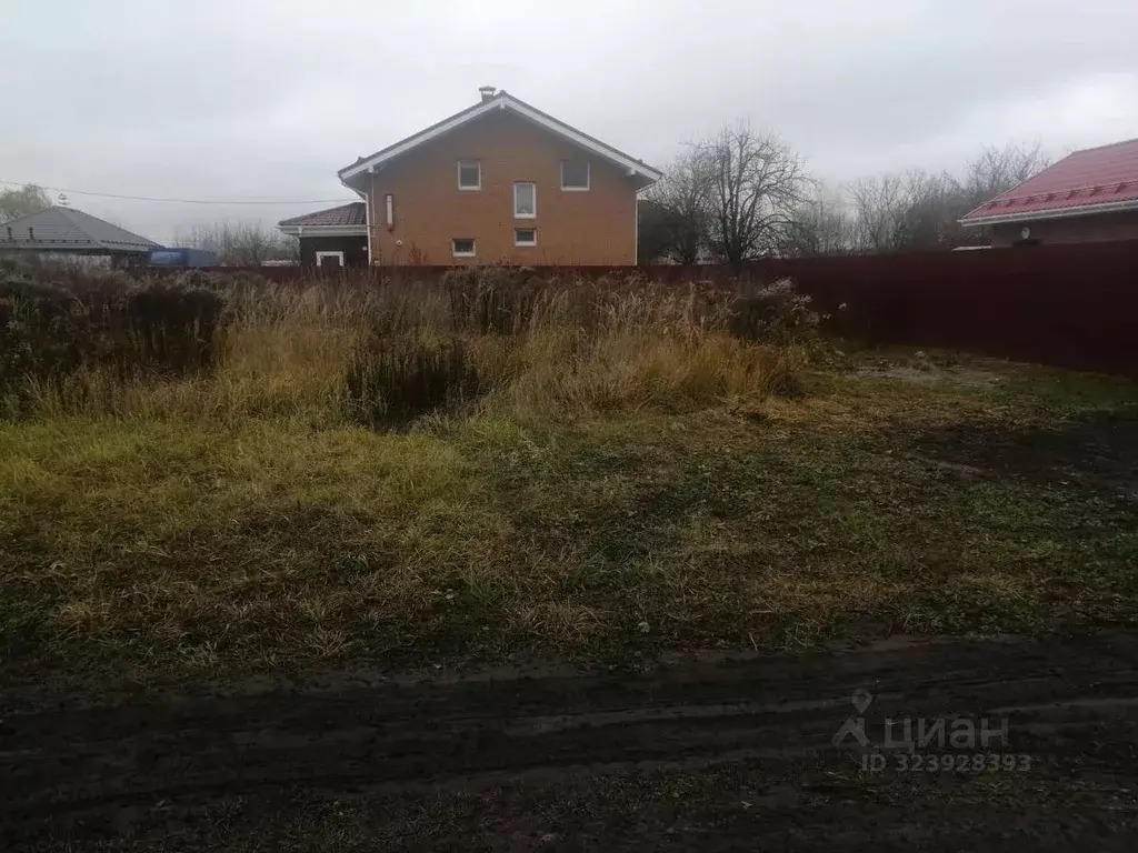 Участок в Брянская область, Брянский район, Снежское с/пос, с. ... - Фото 1