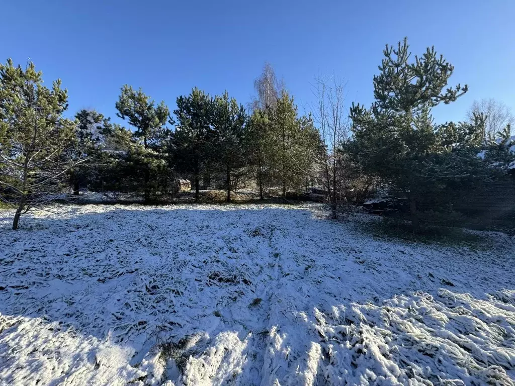 Участок в Ленинградская область, Всеволожский район, Бугровское ... - Фото 2