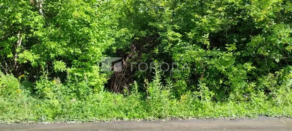 Участок в Кемеровская область, Новокузнецк Подгорная ул. (15.0 сот.) - Фото 0