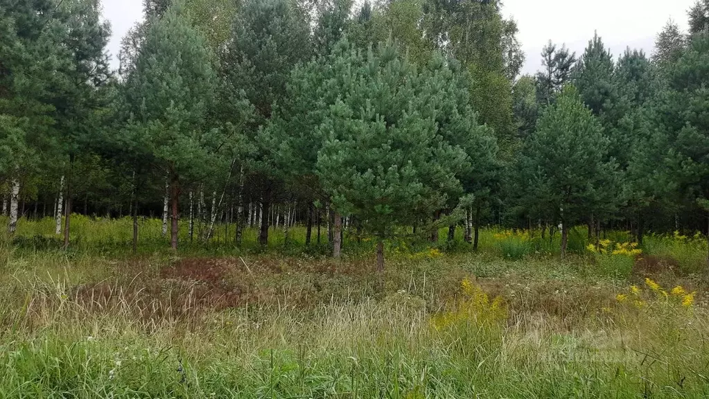 Участок в Удмуртия, Завьяловский район, Соловушки ДНТ  (12.0 сот.) - Фото 1