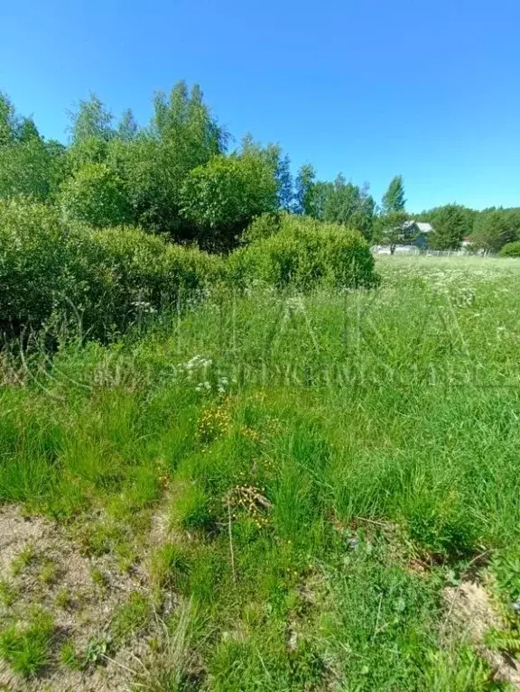 Участок в Ленинградская область, Выборгский район, Каменногорское ... - Фото 1