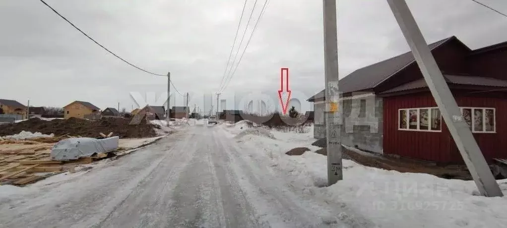 Участок в Новосибирская область, Новосибирский район, Кубовинский ... - Фото 1