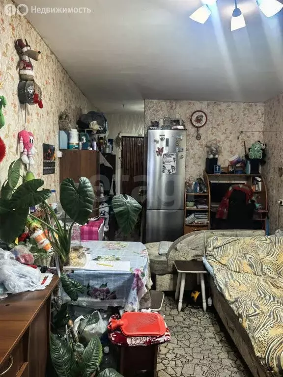 Квартира-студия: Кемерово, бульвар Строителей, 20 (24 м) - Фото 1