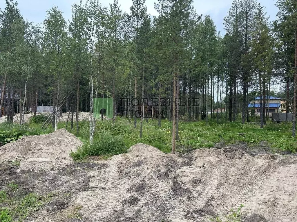 Участок в Архангельская область, Приморский муниципальный округ, пос. ... - Фото 1