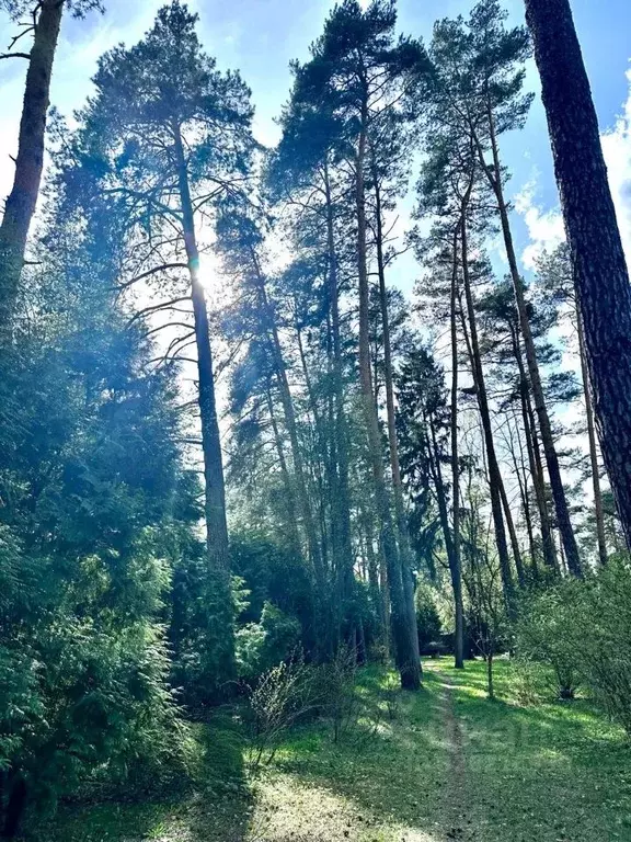 Участок в Московская область, Одинцовский городской округ, пос. ... - Фото 0