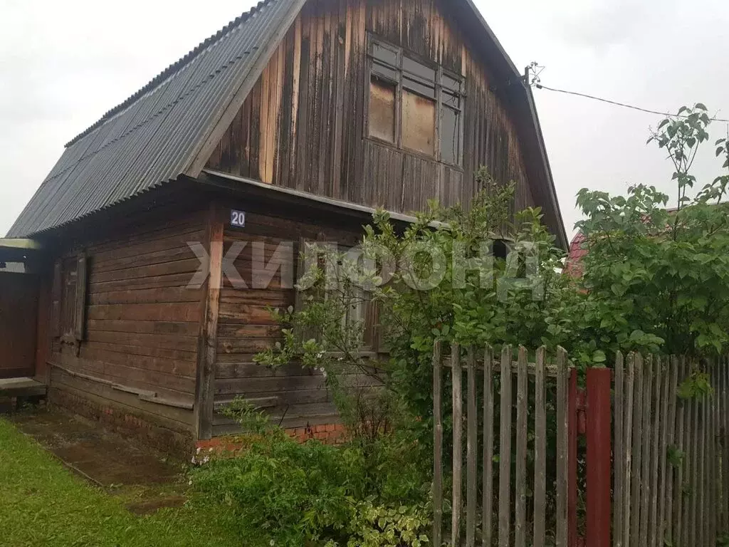 Дом в Новосибирская область, Коченёвский муниципальный район, СНТ ... - Фото 1