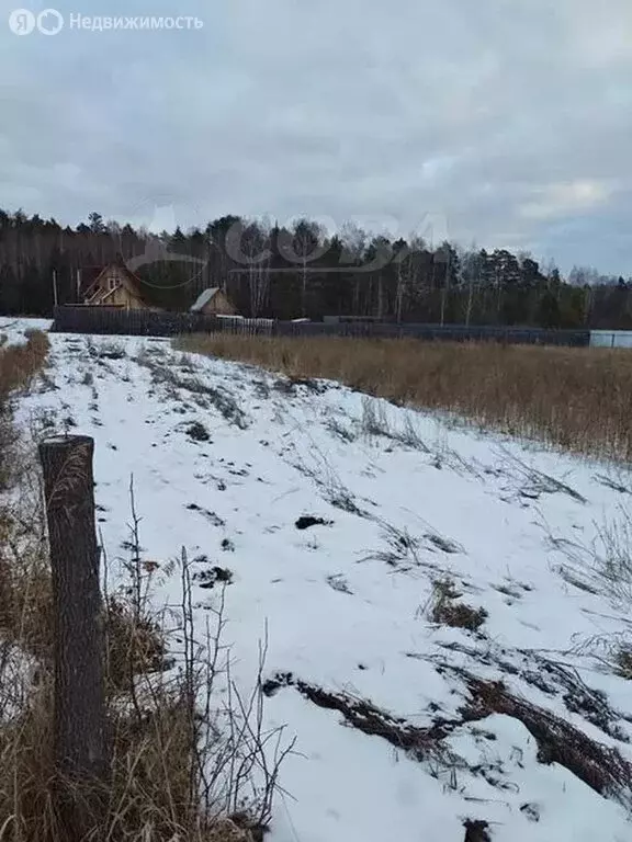 Участок в Свердловская область, Талица (12.5 м) - Фото 2