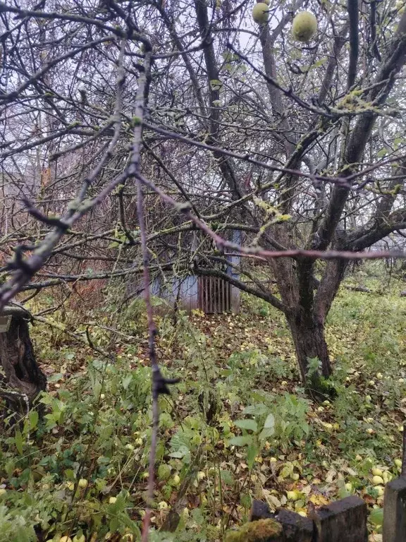 Дом в Новгородская область, Новгородский район, Савинское с/пос, д. ... - Фото 2