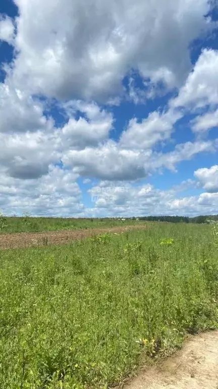 Участок в Москва д. Песье, ул. Южная, 33 (12.0 сот.) - Фото 1