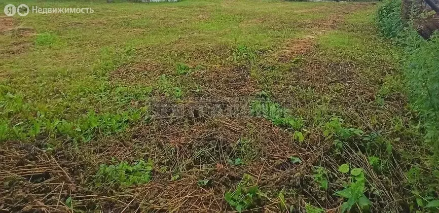 Участок в Смоленский муниципальный округ, посёлок Гедеоновка (8 м) - Фото 2