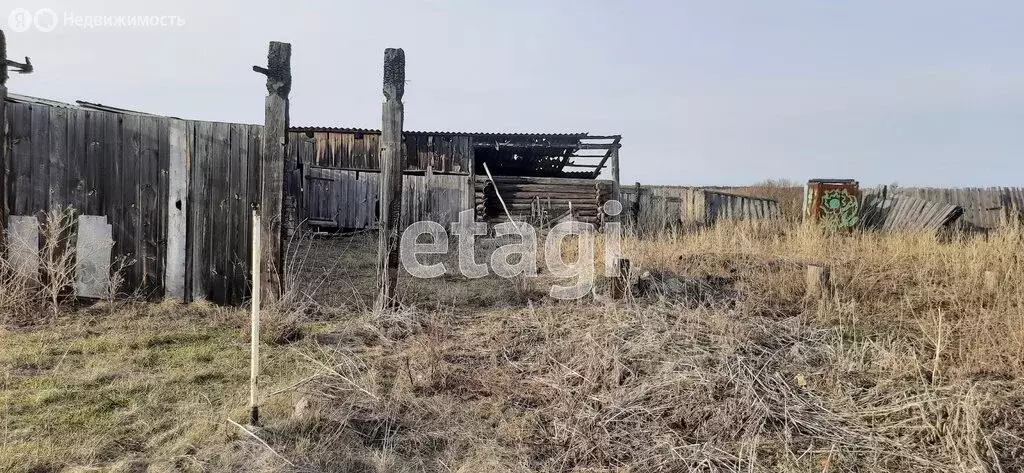 Участок в Курганская область, Шадринский муниципальный округ, деревня ... - Фото 1