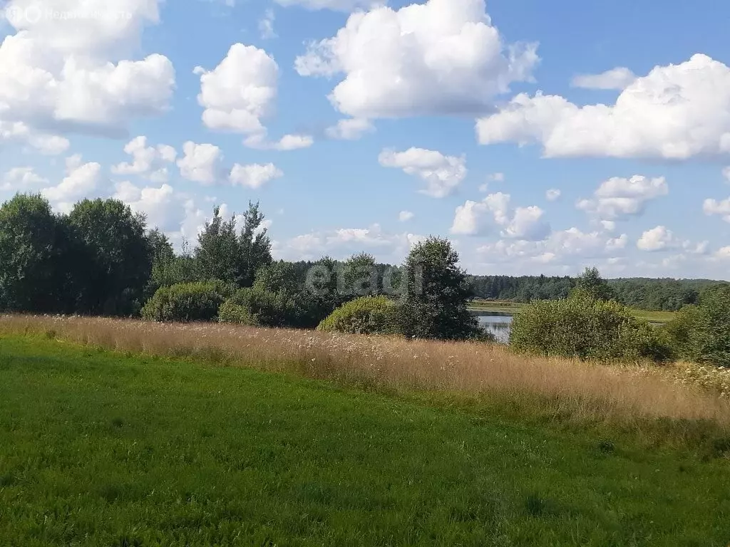 Участок в Тверская область, Бологое (812 м) - Фото 2