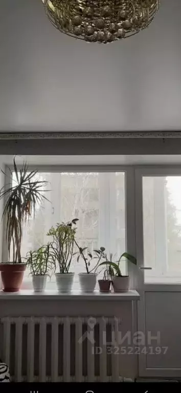 3-к кв. Саратовская область, Петровск ул. Фрунзе, 3 (51.4 м) - Фото 2