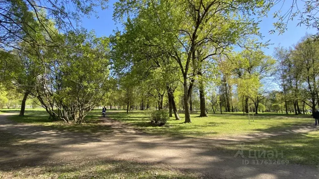 Студия Санкт-Петербург пер. Ипподромный, 1к2 (30.0 м) - Фото 0
