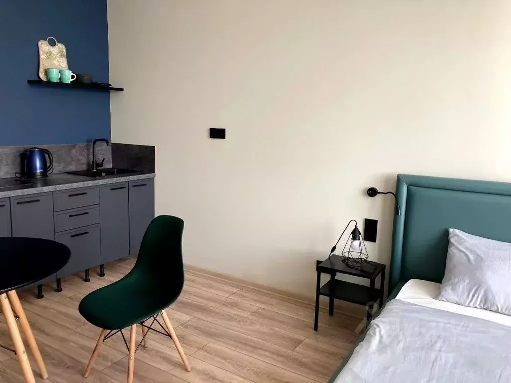 Студия Санкт-Петербург просп. Энергетиков, 8к2 (27.0 м) - Фото 0