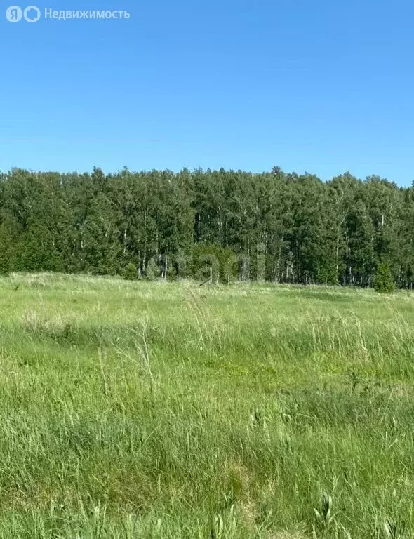 Участок в Курганская область, Кетовский муниципальный округ, деревня ... - Фото 1