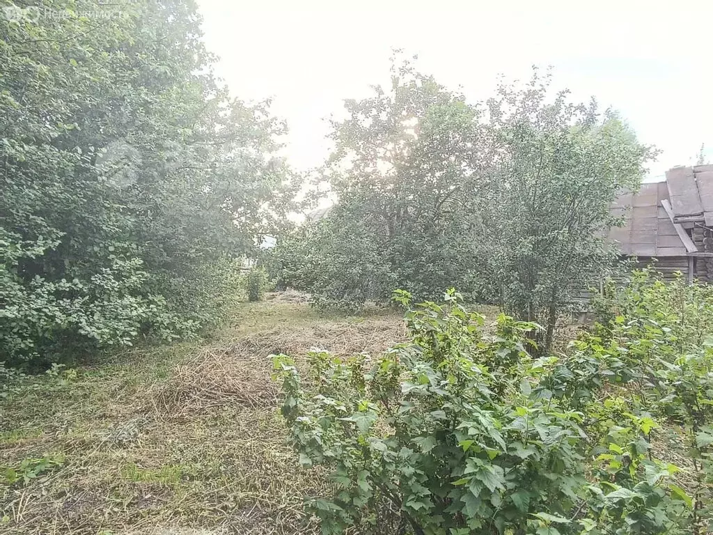 Дом в Михайловка, Центральная улица (61 м) - Фото 2