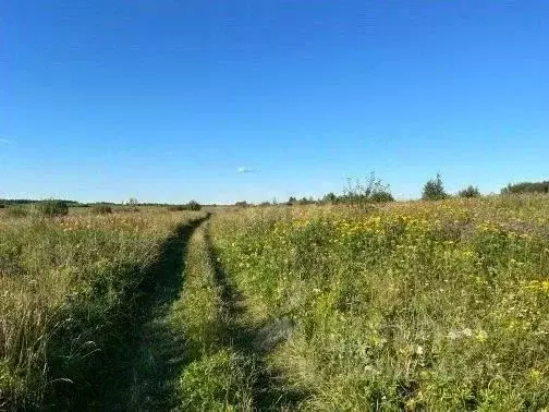 Участок в Ярославская область, Рыбинский муниципальный округ, д. ... - Фото 1