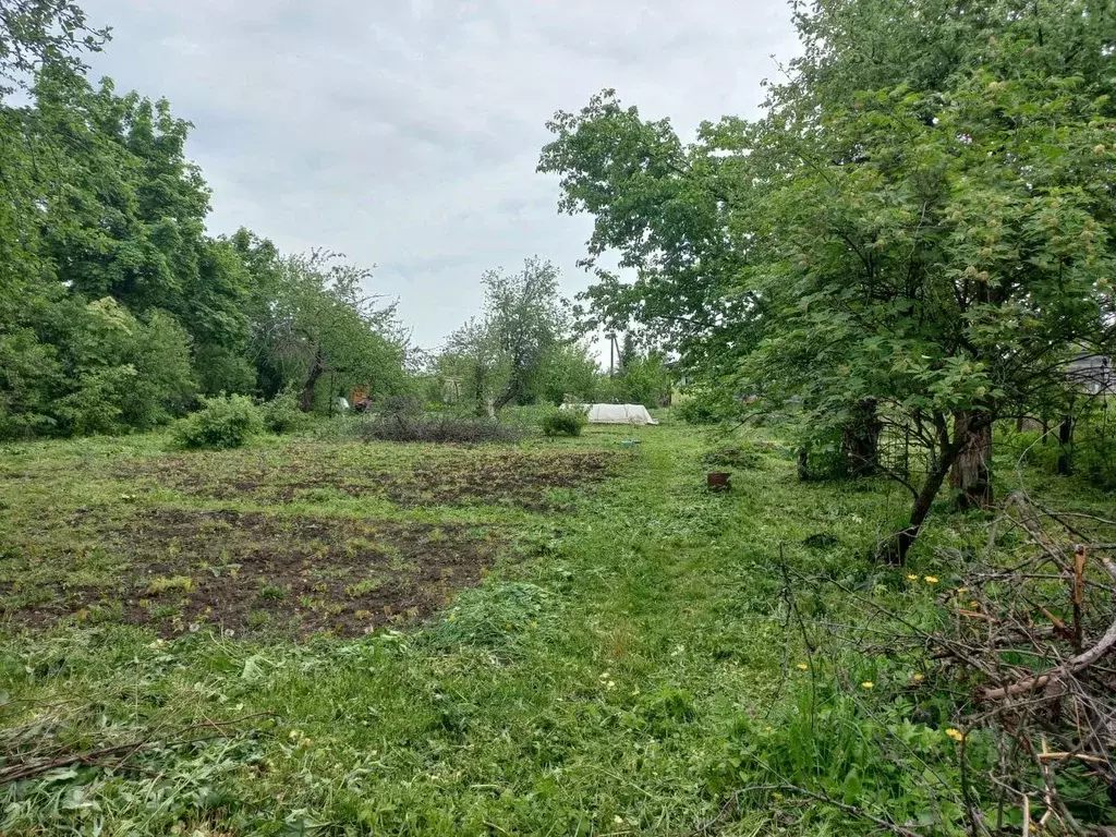 Дом в Тульская область, Тула городской округ, д. Погромное  (42 м) - Фото 1