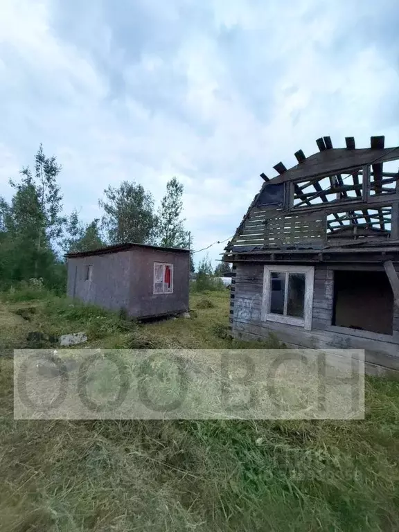 Участок в Ленинградская область, Киришский район, Кусинское с/пос, ... - Фото 1