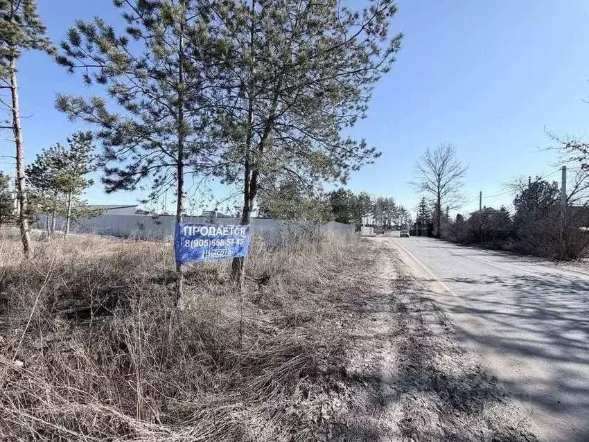 Участок в Воронежская область, Рамонский район, Новоживотинновское ... - Фото 2