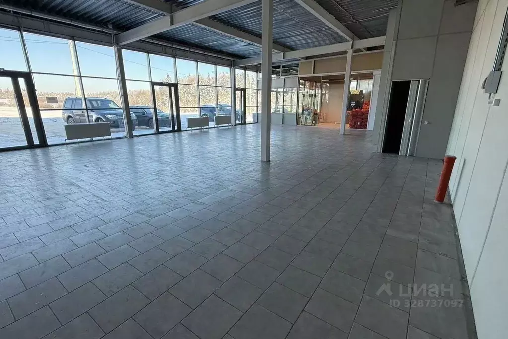 Торговая площадь в Московская область, Истра муниципальный округ, д. ... - Фото 2