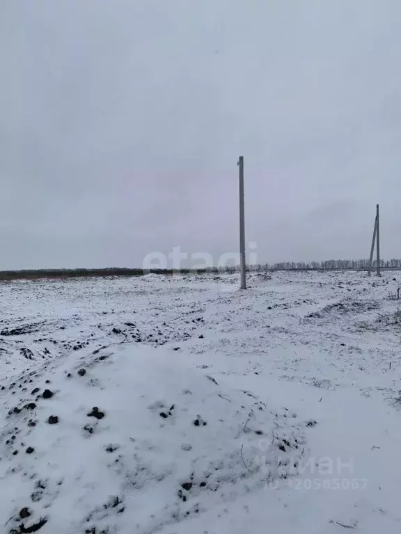 Участок в Белгородская область, Белгородский район, Головинское с/пос, ... - Фото 1