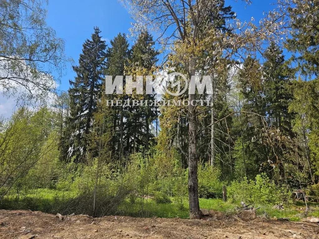 Участок в Москва д. Архангельское, Зосимово кп,  (12.0 сот.) - Фото 1