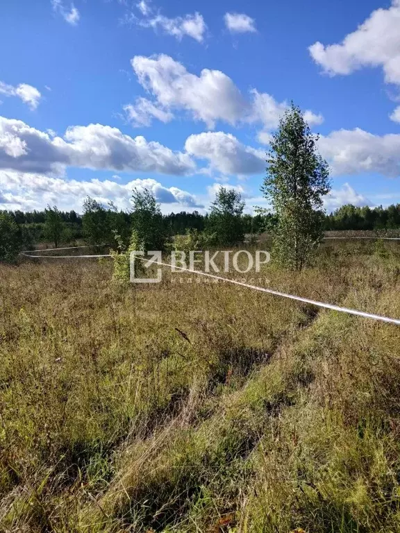 Участок в Костромская область, Судиславское с/пос, пос. Западный  ... - Фото 2