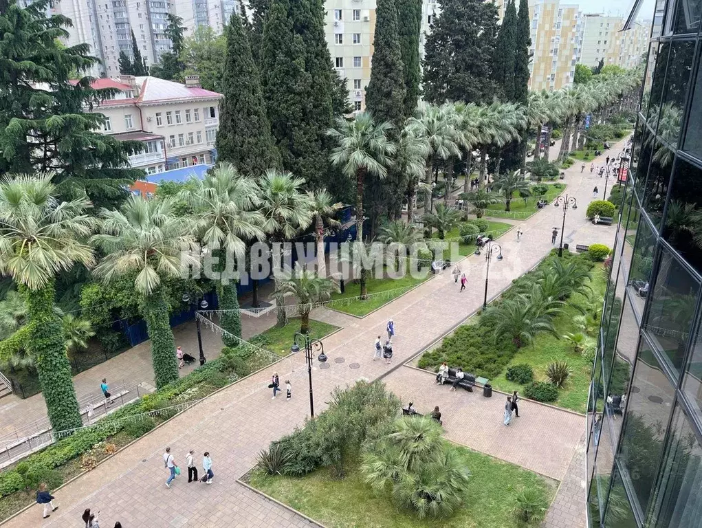 Студия Краснодарский край, Сочи Центральный мкр, ул. Навагинская, 11 ... - Фото 0