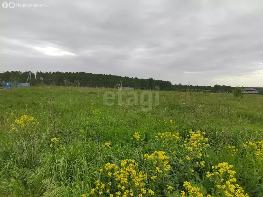 Участок в городской округ Калуга, деревня Яглово (15 м) - Фото 0
