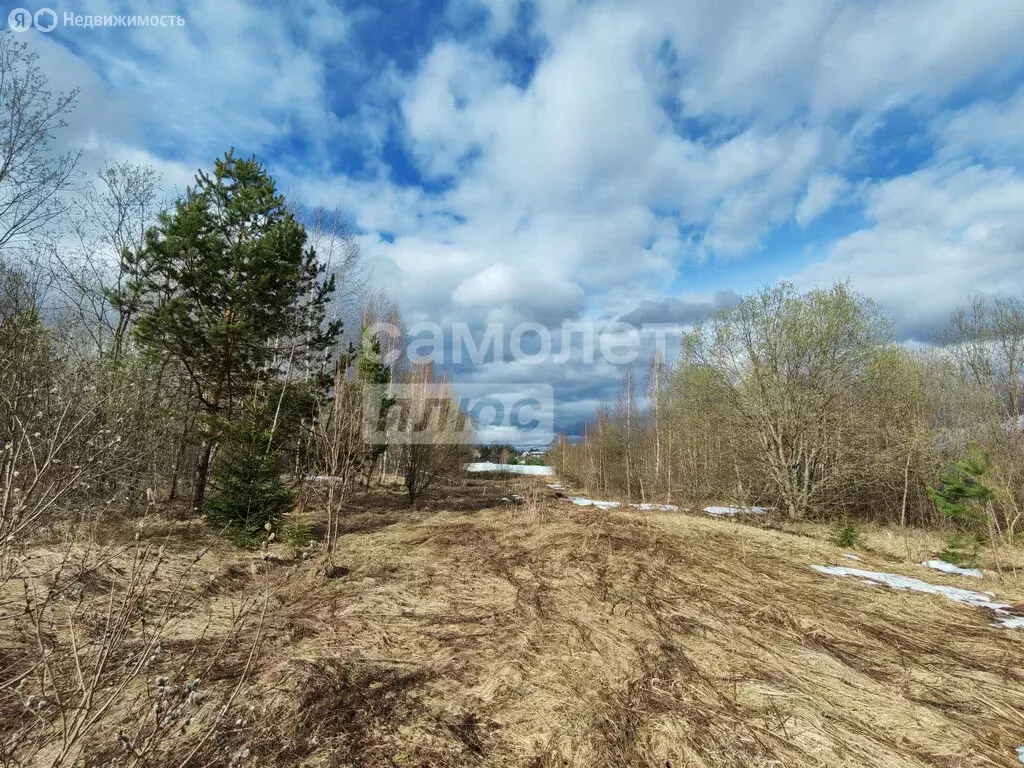 Участок в Владимирская область, Александровский муниципальный округ, ... - Фото 1