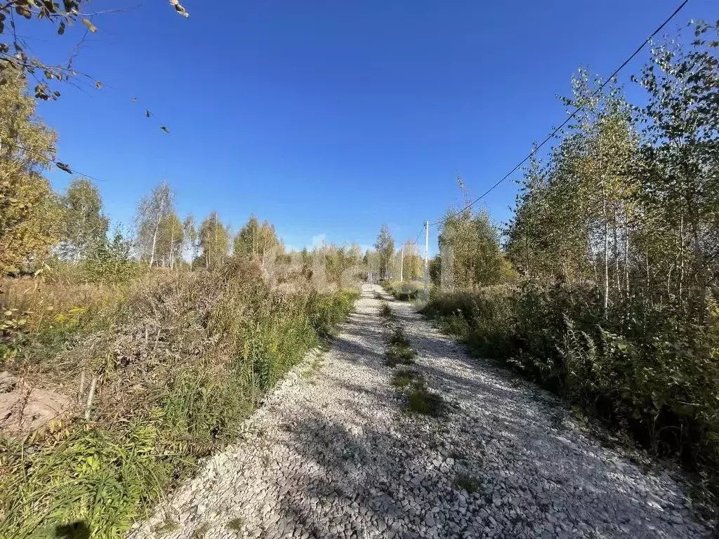 Участок в Тульская область, Тула городской округ, д. Харино ул. ... - Фото 1