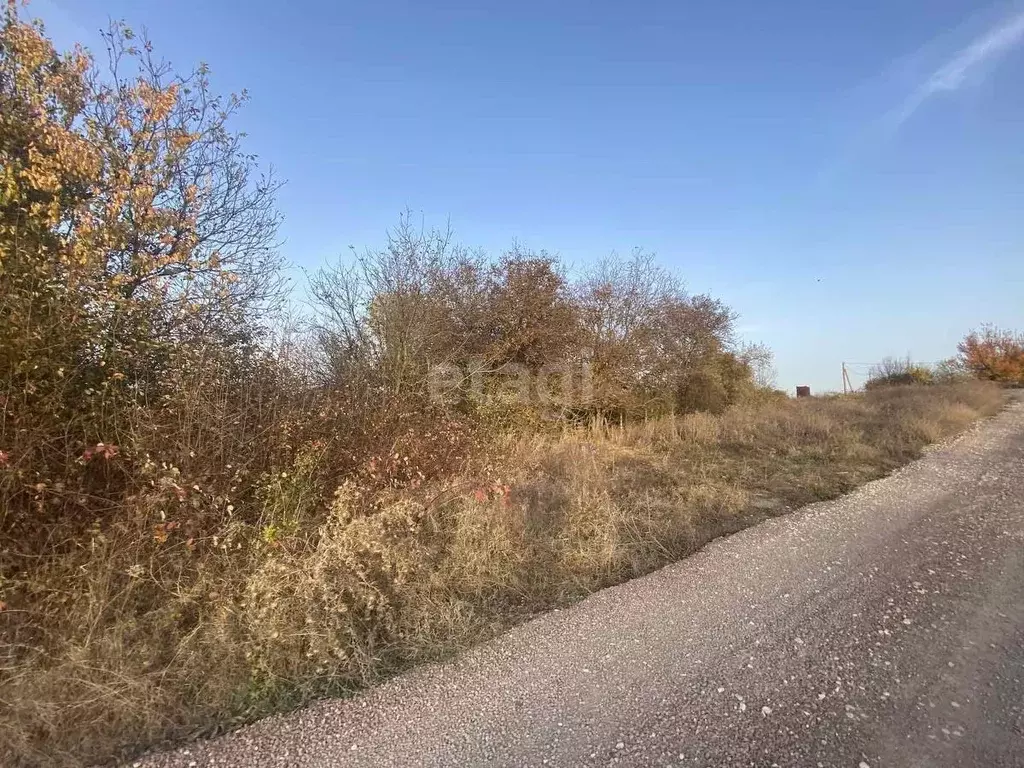 Участок в Крым, Симферопольский район, Чистенское с/пос, Родничок СПК  ... - Фото 1