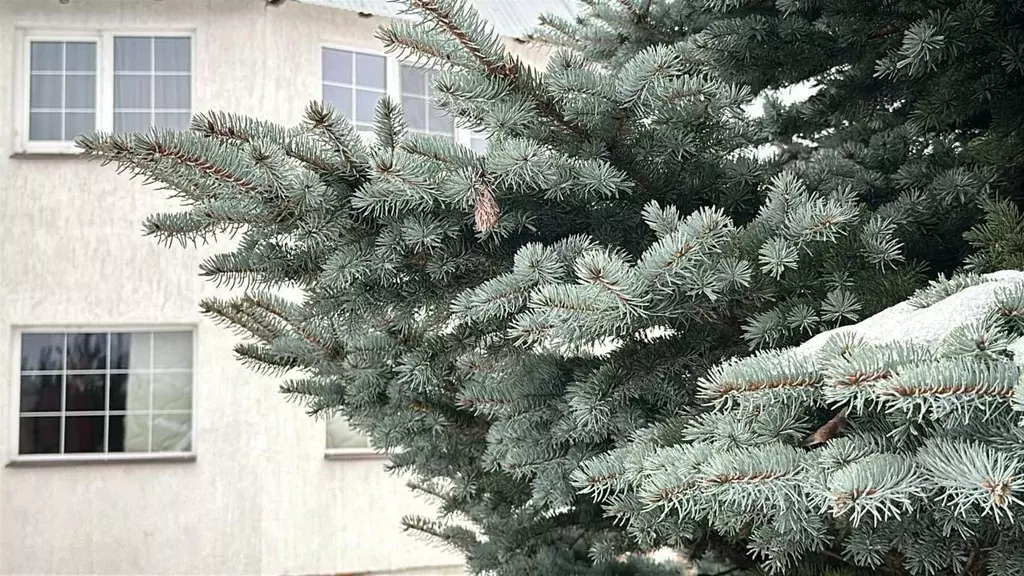 Дом в Москва Медик СНТ, 49 (120 м) - Фото 2