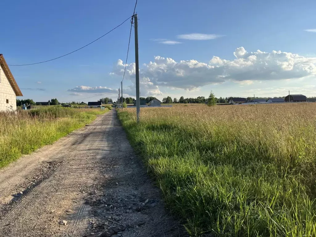 Участок в Ярославская область, Ярославский район, Заволжское с/пос, д. ... - Фото 1