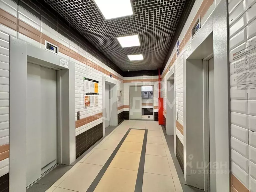 Студия Санкт-Петербург ул. Доблести, 7к1 (24.7 м) - Фото 1