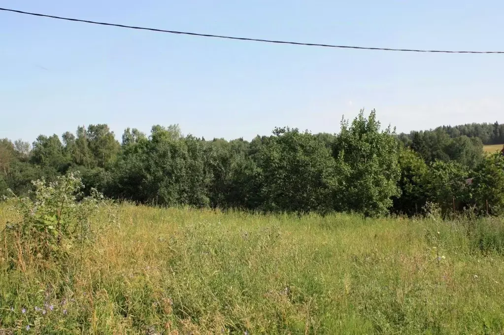 Участок в Московская область, Дмитровский муниципальный округ, д. ... - Фото 1