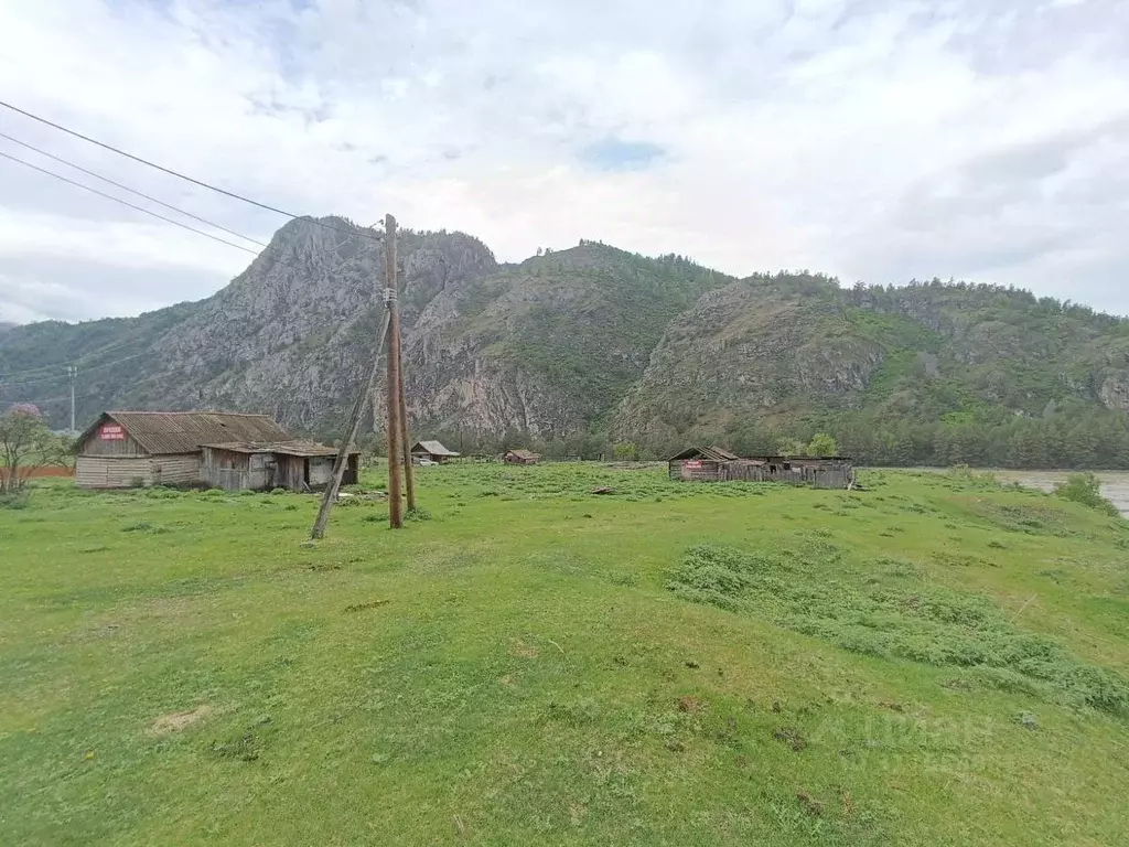Участок в Алтай, Чемальский район, с. Еланда  (126.05 сот.) - Фото 0