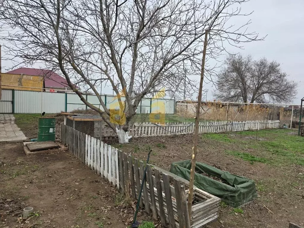 Участок в Астраханская область, Камызякский район, с. Иванчуг ул. ... - Фото 1